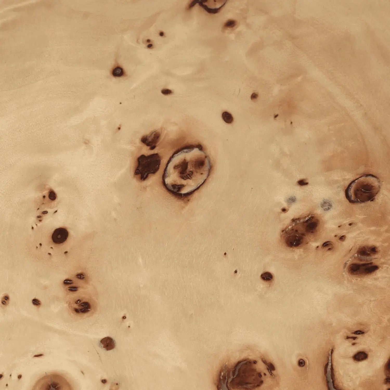 Ferm Living Burl Coffee Table - KANSO