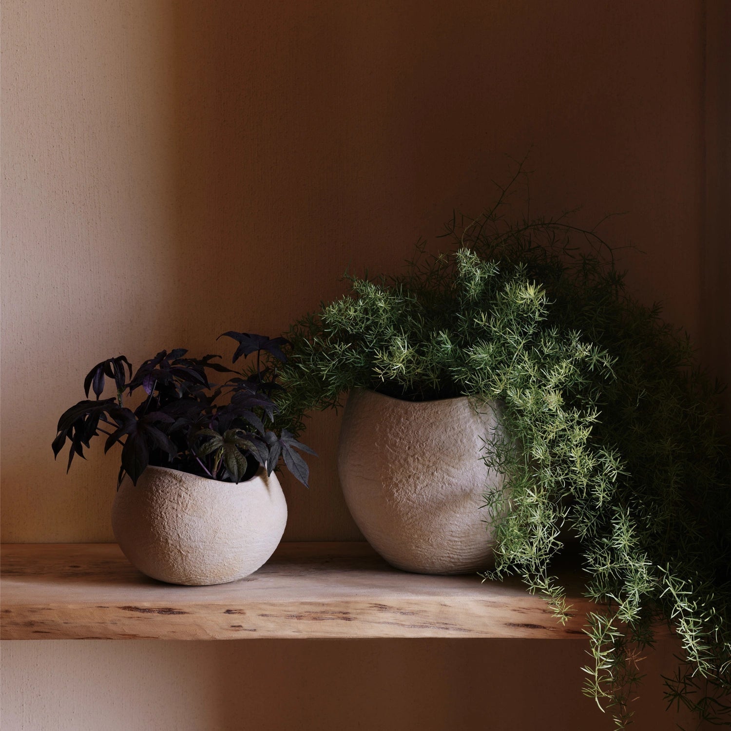 Audo Copenhagen Plantas Planter 12.5” - KANSO