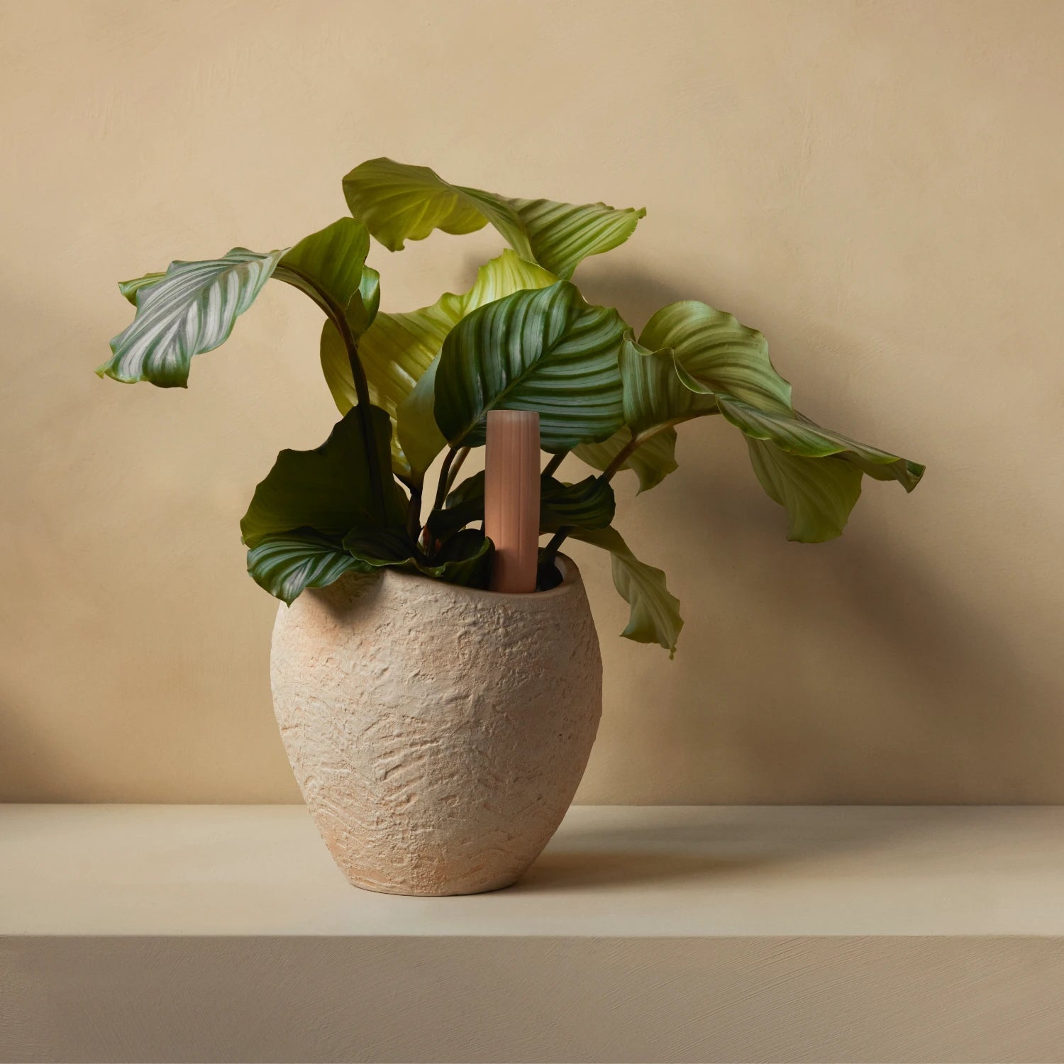 Audo Copenhagen Plantas Planter 12.5” - KANSO