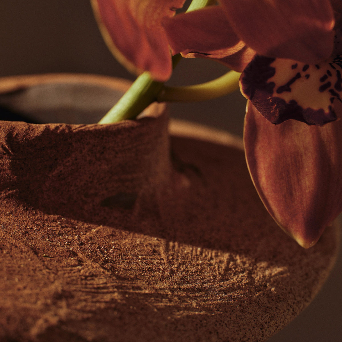 Ferm Living Evio Vase Burnt Umber Large#Color_Burnt Umber